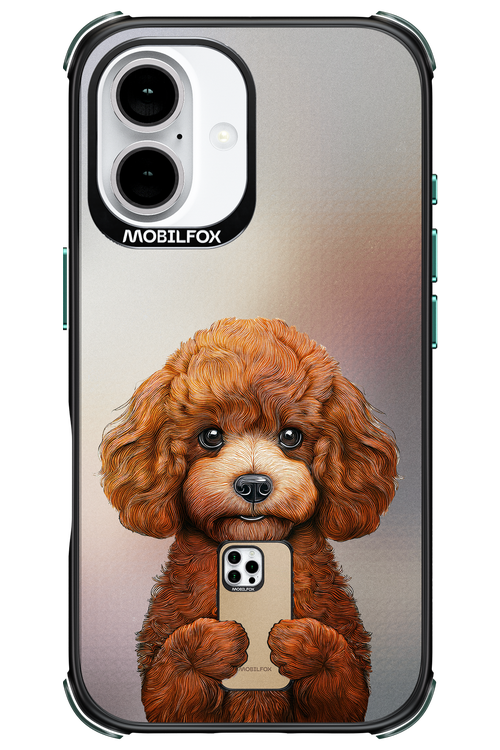 Dog x Fox - Apple iPhone 16