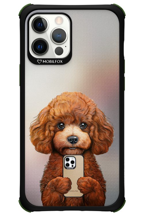 Dog x Fox - Apple iPhone 12 Pro Max