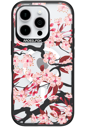 Sakura - Apple iPhone 16 Pro