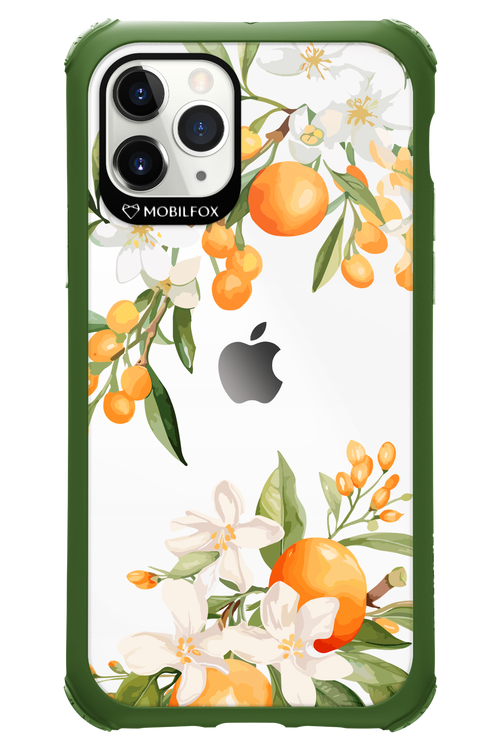 Amalfi Orange - Apple iPhone 11 Pro