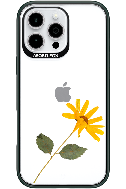 Pressed Flower - Apple iPhone 16 Pro Max