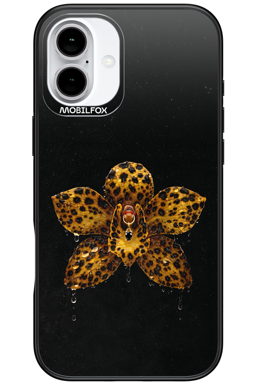 Wet & Wild 2.0 - Apple iPhone 16 Plus