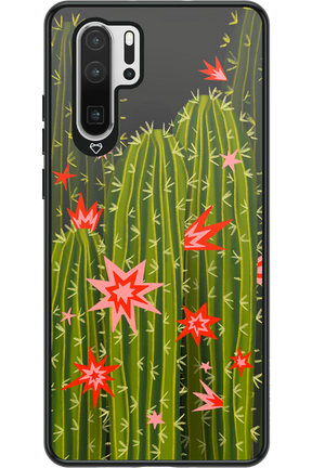 Cactus bloom 2.0 - Huawei P30 Pro