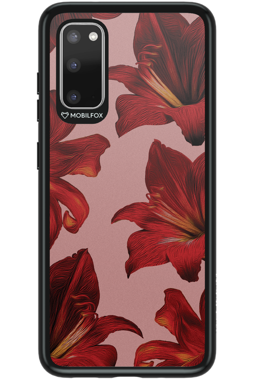 Amaryllis Mist - Samsung Galaxy S20