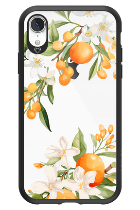 Amalfi Orange 2.0 - Apple iPhone XR