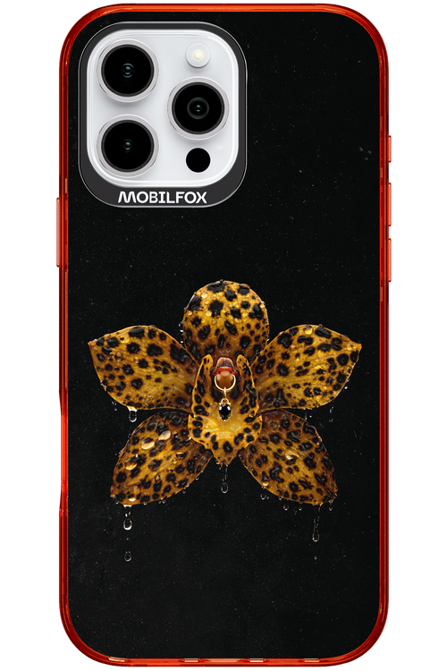 Wet & Wild 2.0 - Apple iPhone 16 Pro Max