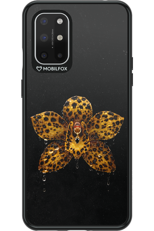 Wet & Wild 2.0 - OnePlus 8T