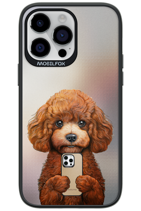 Dog x Fox - Apple iPhone 14 Pro Max