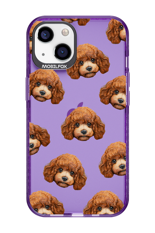 Puddle Amore 2.0 - Apple iPhone 13