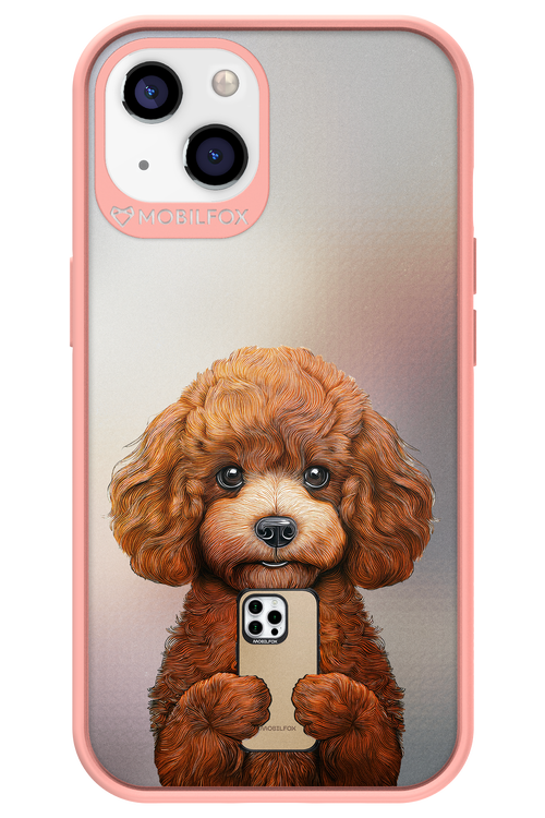 Dog x Fox - Apple iPhone 13