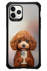 Dog x Fox - Apple iPhone 11 Pro