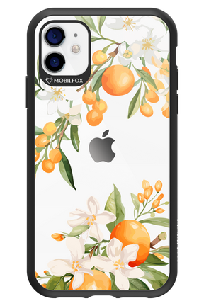 Amalfi Orange 2.0 - Apple iPhone 11