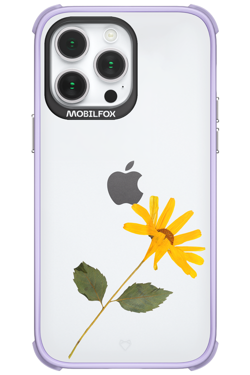Pressed Flower - Apple iPhone 14 Pro Max