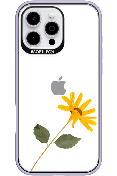 Pressed Flower - Apple iPhone 16 Pro Max