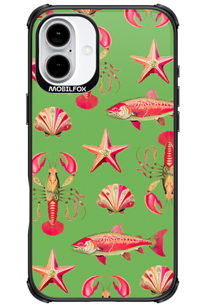 Sea Stars - Apple iPhone 16 Plus