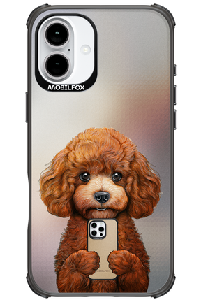 Dog x Fox - Apple iPhone 16 Plus