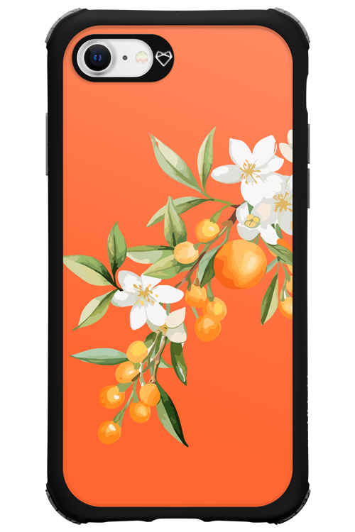 Amalfi Oranges - Apple iPhone SE 2020