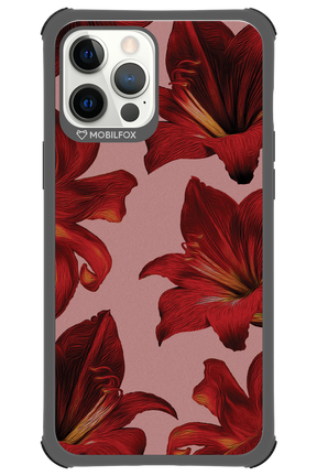 Amaryllis Mist - Apple iPhone 12 Pro Max
