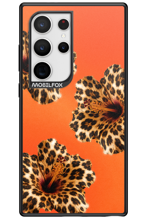 Sun Purr 2.0 - Samsung Galaxy S24 Ultra