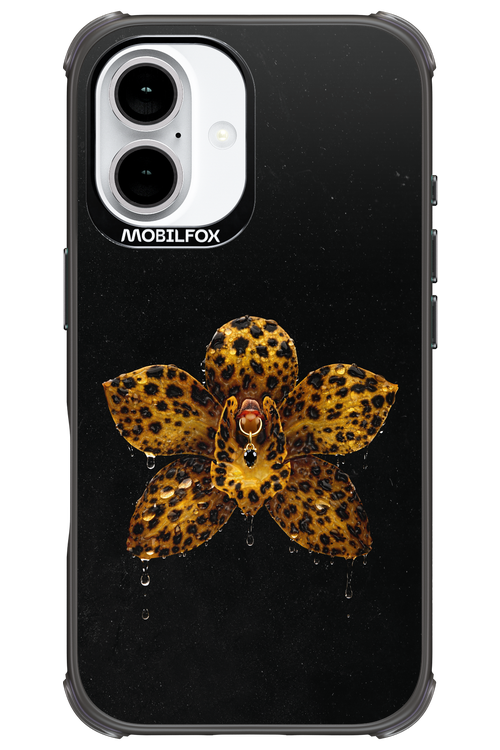 Wet & Wild 2.0 - Apple iPhone 16