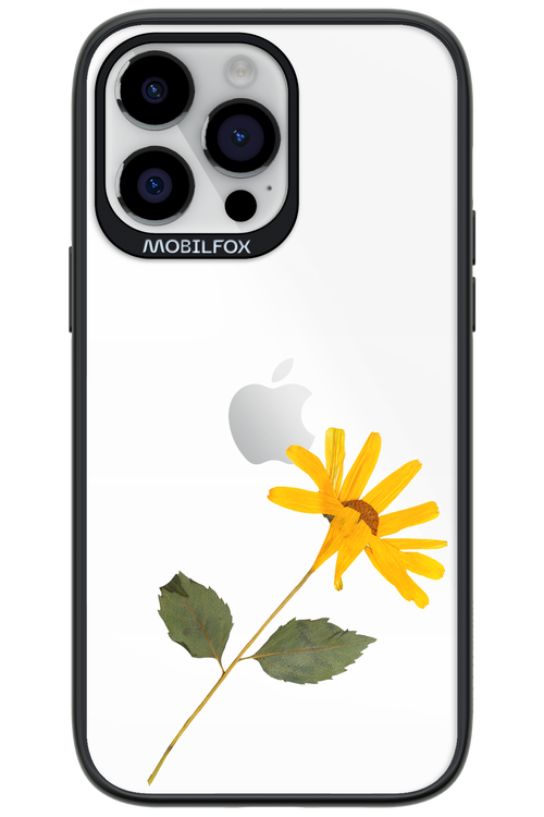 Pressed Flower - Apple iPhone 14 Pro Max