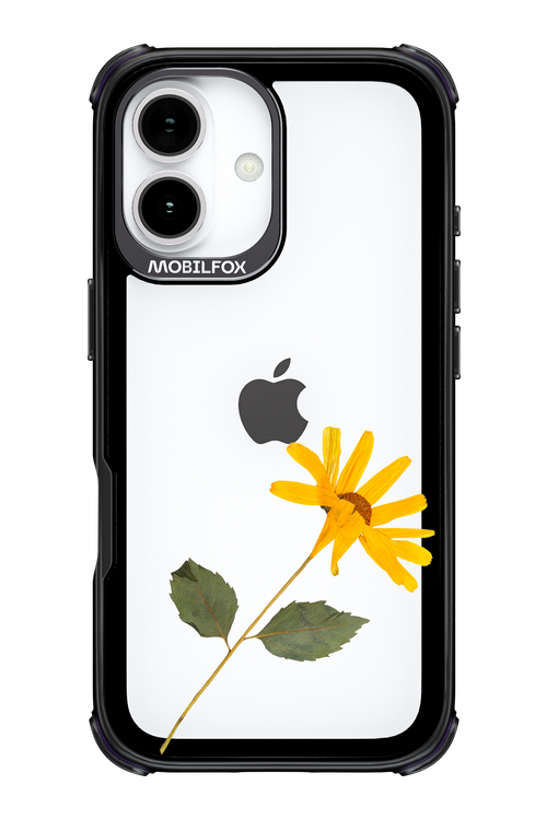 Pressed Flower - Apple iPhone 17