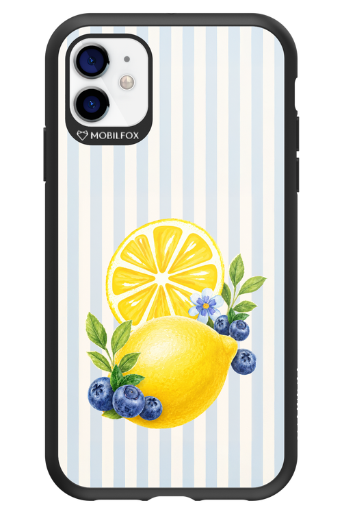Fresh Flash 2.0 - Apple iPhone 11