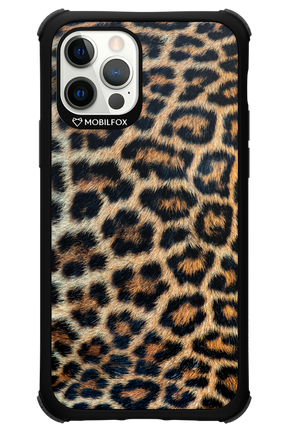 Leopard - Apple iPhone 12 Pro