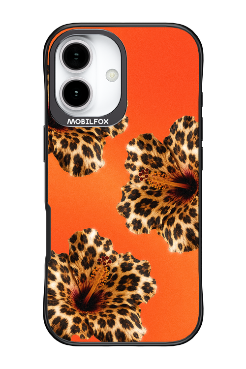 Sun Purr 2.0 - Apple iPhone 17