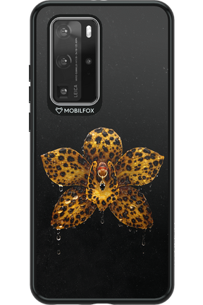 Wet & Wild 2.0 - Huawei P40 Pro