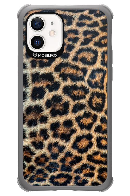 Leopard - Apple iPhone 12