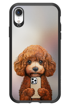 Dog x Fox 2.0 - Apple iPhone XR