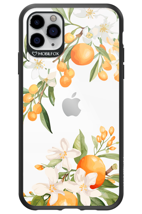 Amalfi Orange - Apple iPhone 11 Pro Max