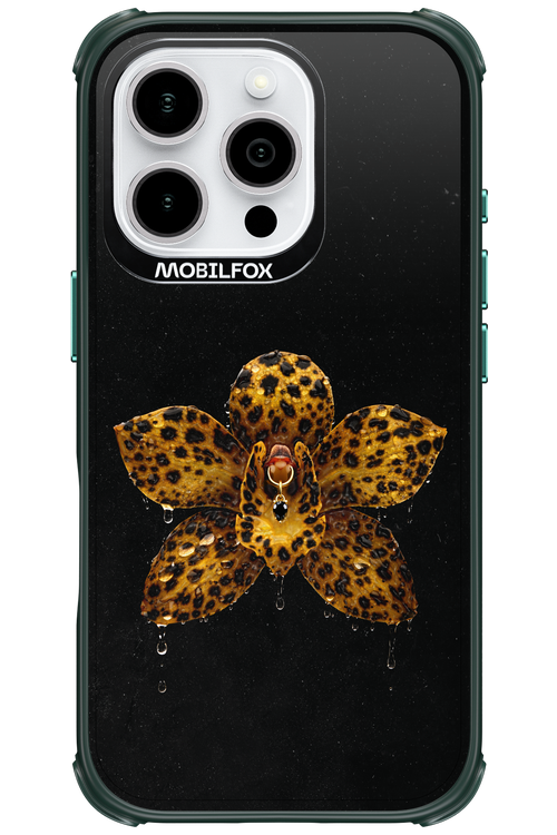 Wet & Wild 2.0 - Apple iPhone 16 Pro