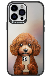 Dog x Fox - Apple iPhone 13 Pro Max