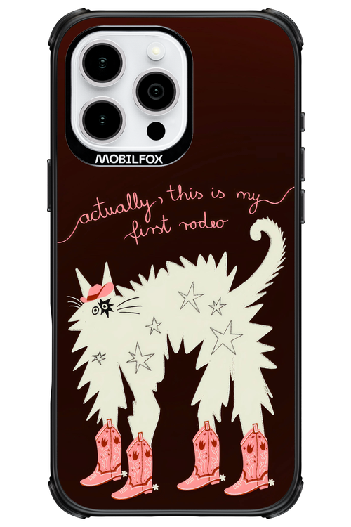 First rodeo 2.0 - Apple iPhone 16 Pro Max