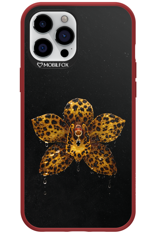 Wet & Wild 2.0 - Apple iPhone 12 Pro Max