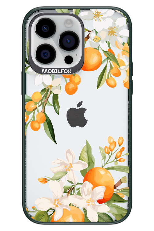 Amalfi Orange - Apple iPhone 14 Pro Max