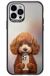 Dog x Fox 2.0 - Apple iPhone 12 Pro