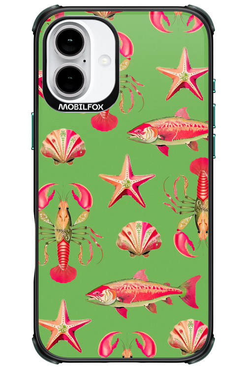 Sea Stars - Apple iPhone 16 Plus