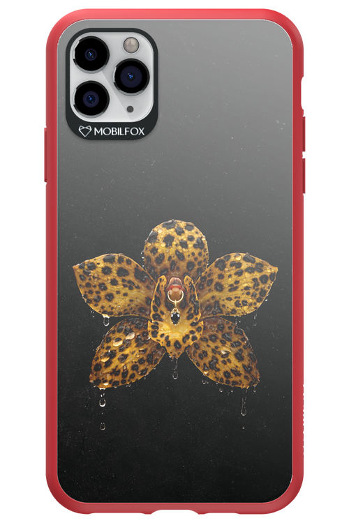 Wet & Wild 2.0 - Apple iPhone 11 Pro Max