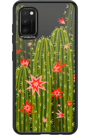Cactus bloom 2.0 - Samsung Galaxy A41