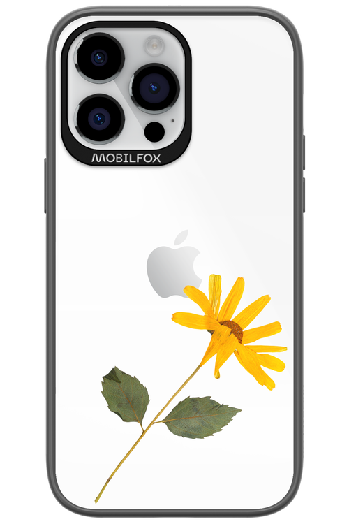 Pressed Flower - Apple iPhone 14 Pro Max
