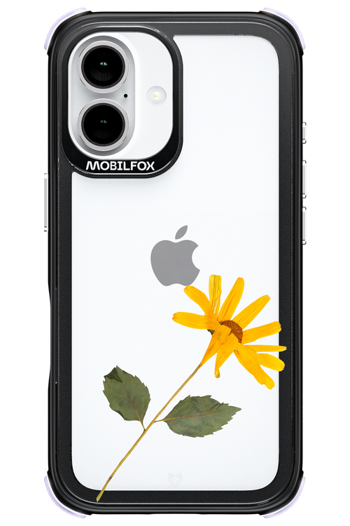Pressed Flower - Apple iPhone 16