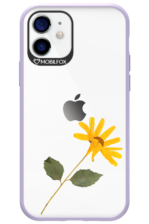 Pressed Flower - Apple iPhone 12