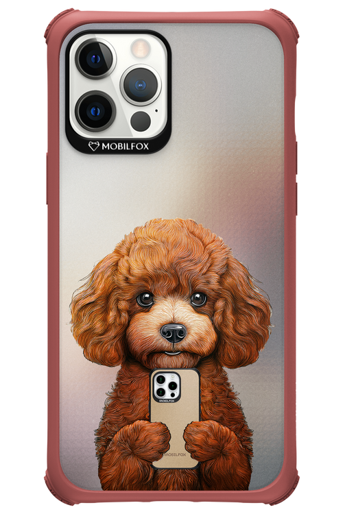 Dog x Fox - Apple iPhone 12 Pro Max