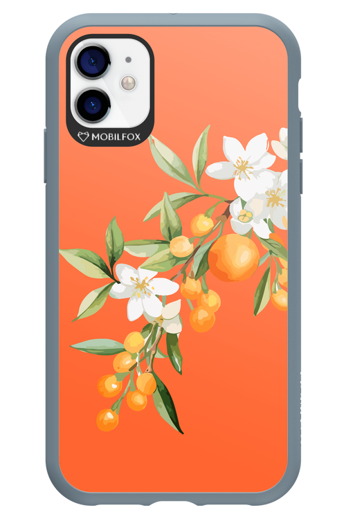 Amalfi Oranges - Apple iPhone 11