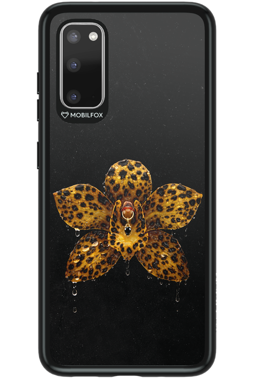 Wet & Wild 2.0 - Samsung Galaxy S20